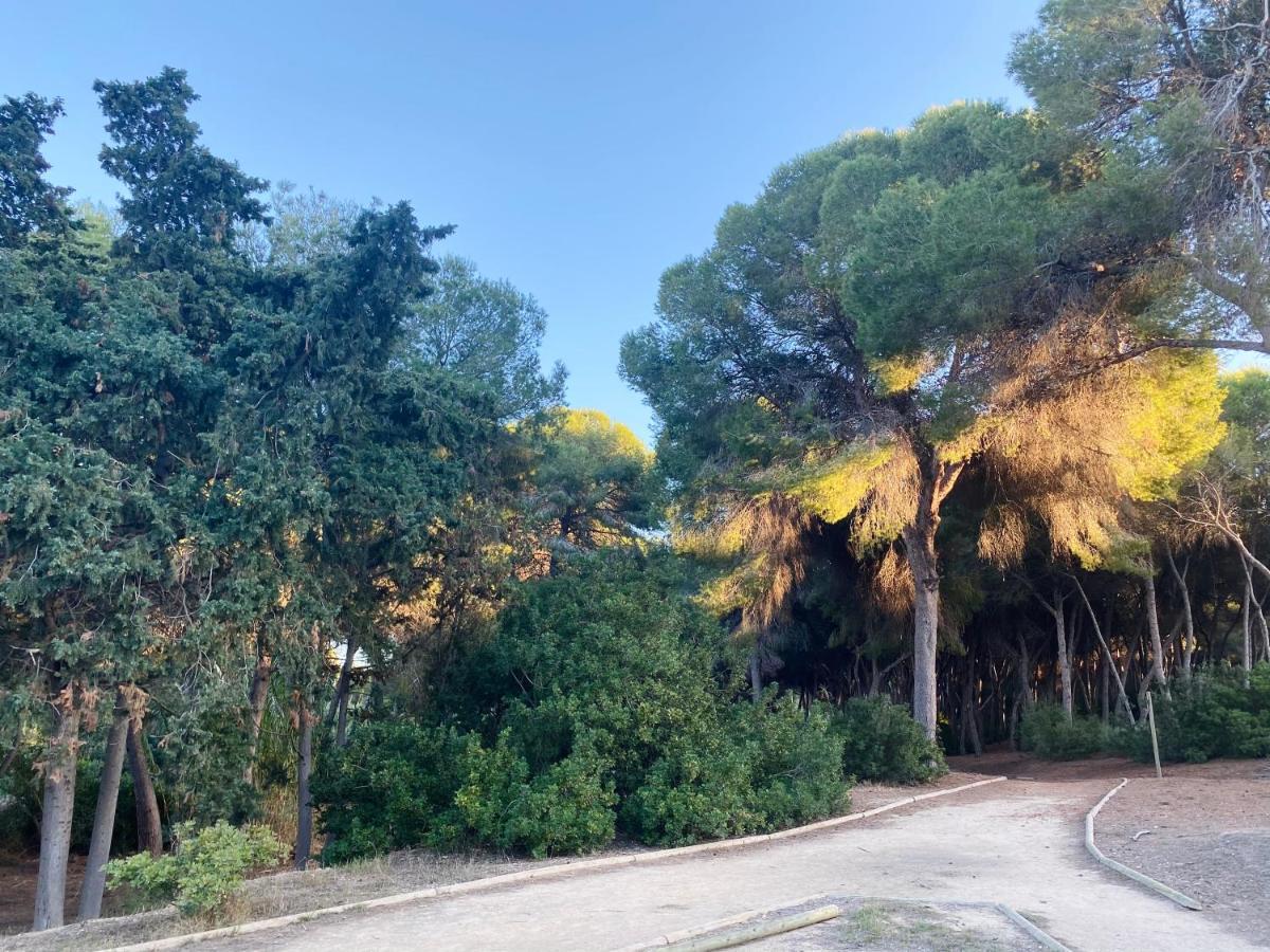 Apartamento Hermosa Glea Campoamor Exteriér fotografie